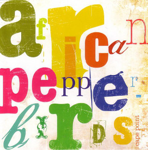 African  Pepperbirds